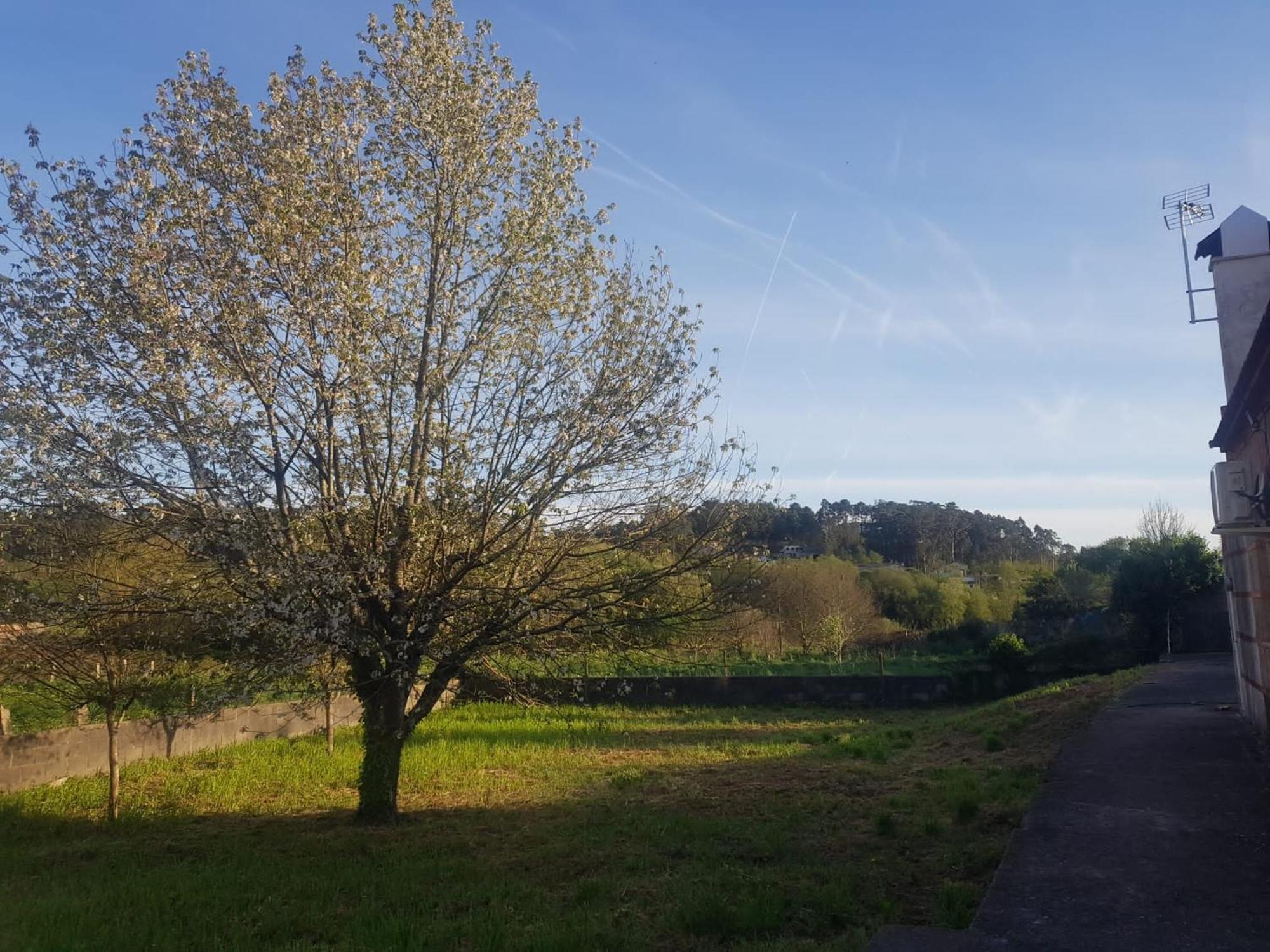 Willa Casa La Porrinesa Porriño Zewnętrze zdjęcie